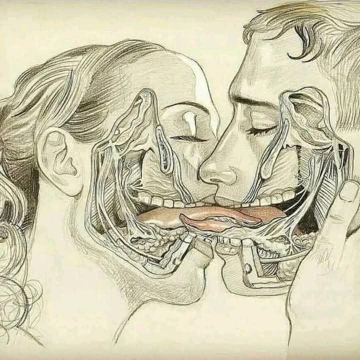 💋😮 WHAT REALLY HAPPENS WHEN WE TONGUE KISS… The Truth Will Surprise You! 👀🔥