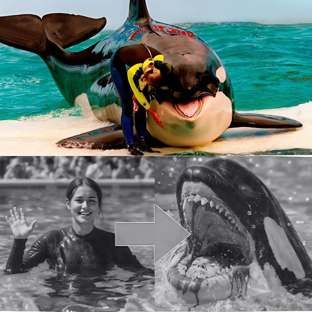 🐋💀 THE REVENGE OF THE K!LLER WHALE THAT K!LLED 3 💀🐋