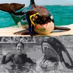 🐋💀 THE REVENGE OF THE K!LLER WHALE THAT K!LLED 3 💀🐋