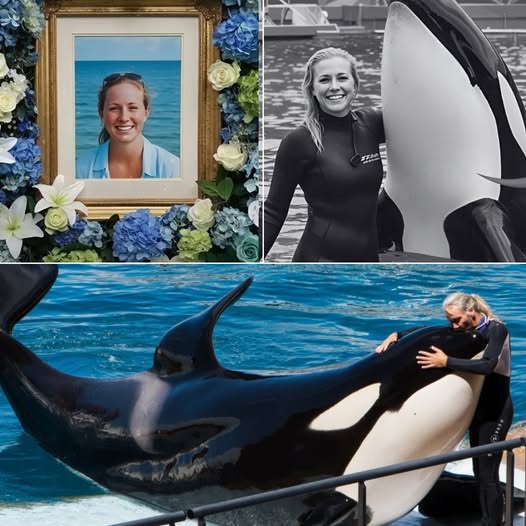 💔😢 SAD NEWS: Jessica Radcliffe’s Last Smile Was Seconds Away From Tragedy – The Killer Whale’s Sudden Turn Stunned Everyone 🐋⚠️