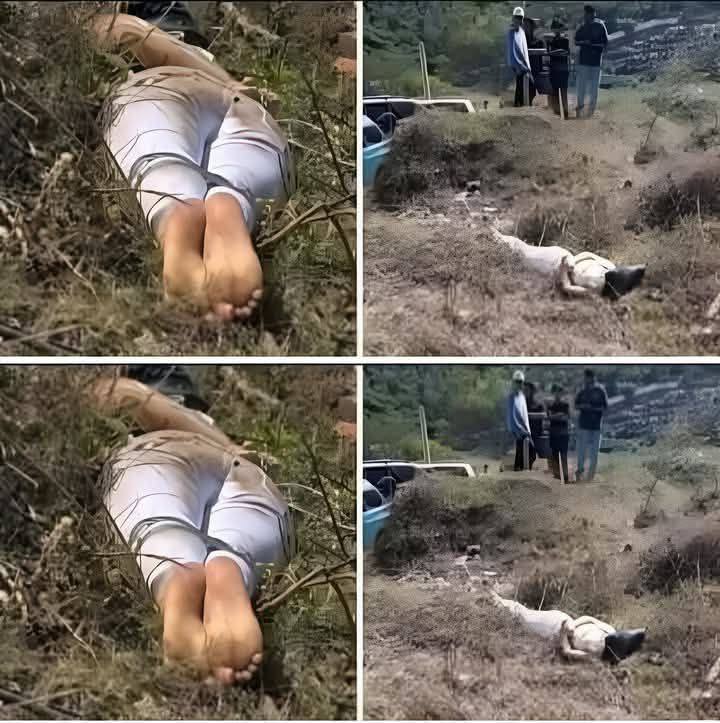 😭💔 TRAGIC NEWS: Young Woman’s Life Cut Short In A Heartbreaking Incident 💔😭