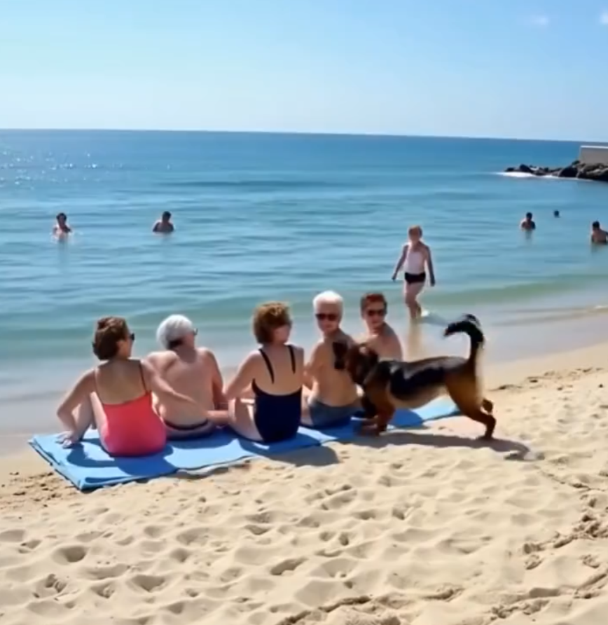 🐾 The Friends Were Relaxing on the Beach When a Dog Ran Up and Started Barking Loudly… Suddenly One of the Women Turned Pale After Looking… 😳👇👇