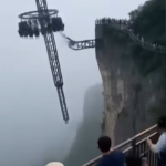 🚨🌉 BREAKING NEWS: HORROR AT AMUSEMENT PARK 🌉🚨