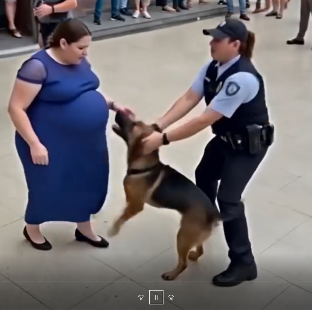 🚨🐶 Dog Repeatedly Barks at a 7-Month-Old Pregnant Woman… But When Police Discovered the Reason, It Was Already Too Late! 😱💔 Video Below 👇👇