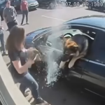 🐶💔 I BROKE A STRANGER’S CAR WINDOW TO RESCUE A DOG — AND THEN THE UNEXPECTED HAPPENED 🚨😱