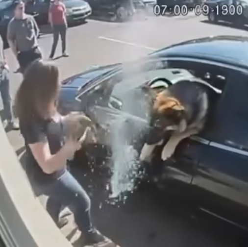 🐶💔 I BROKE A STRANGER’S CAR WINDOW TO RESCUE A DOG — AND THEN THE UNEXPECTED HAPPENED 🚨😱
