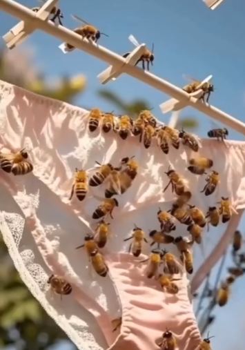 🚨 BE CAREFUL! 🐝🐝 If You Notice THIS in Your Underwear, Here’s What It Really Means…